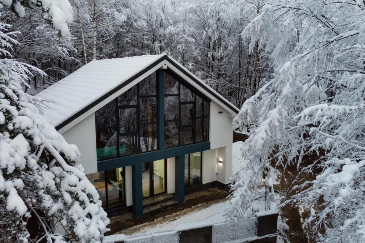 Vila Blanc Valiug Crivaia Dış mekan fotoğraf