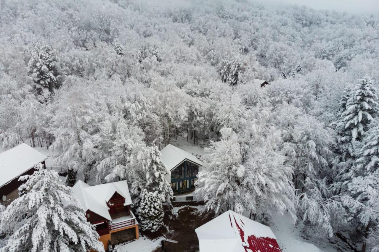 Vila Blanc Valiug Crivaia Dış mekan fotoğraf