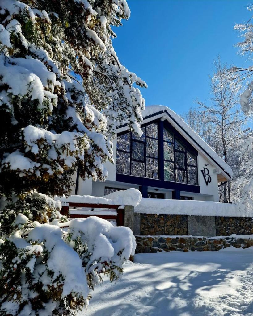Vila Blanc Valiug Crivaia Dış mekan fotoğraf