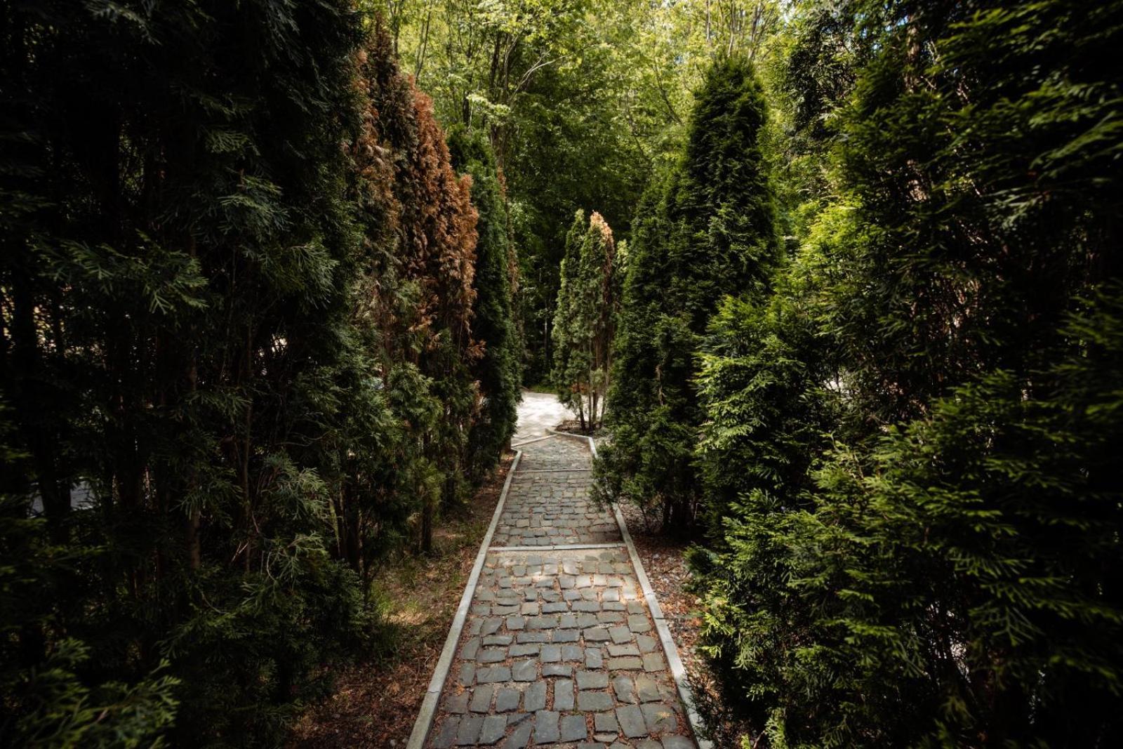 Vila Blanc Valiug Crivaia Dış mekan fotoğraf